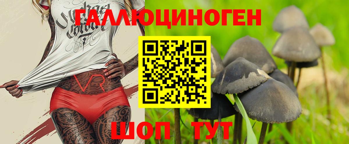 Надым  Галлюциногенные грибы ЛСД  где купить наркотик  Вход с VPN 
